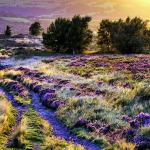 Meet your Posher, Karolina