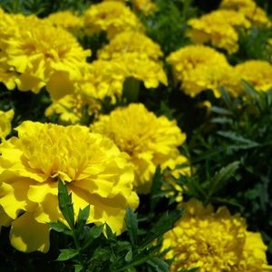 Bundle for @jricee10