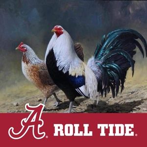 Meet your Posher, Roy