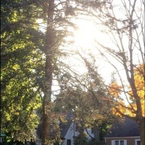 Meet your Posher, Gigi