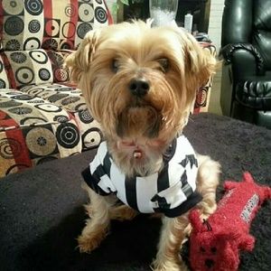 Meet your Posher, Jennifer