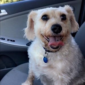 Meet your Posher, Sami