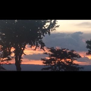 Meet your Posher, Estee