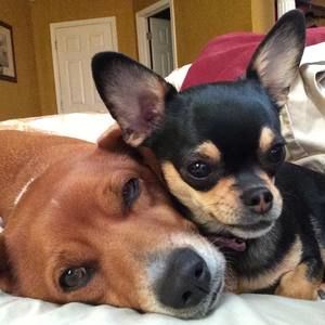 Meet your Posher, Catherine