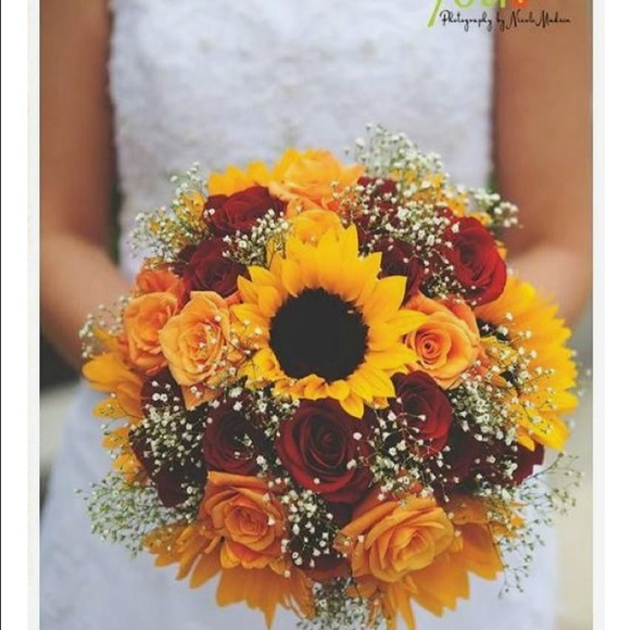 Meet your Posher, Jenna - Picture 1 of 1