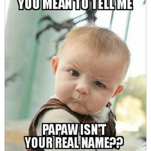 Meet your Posher, Sonja