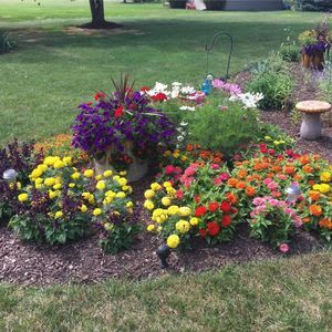 Meet your Posher, Cheryl