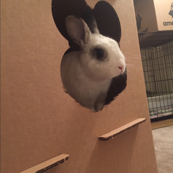 MEET YOUR POSHER! - Picture 4 of 4