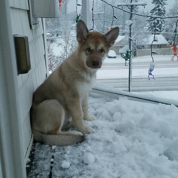 Meet your Posher, Brittney - Picture 1 of 1