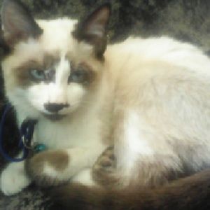 Meet your Posher, Kathy