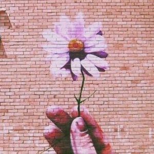 Meet your Posher, Angel