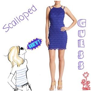 Scalloped Dess 🎊HP 11/28/16