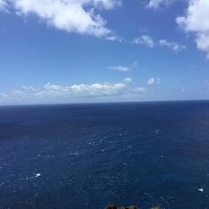 Meet your Posher, Chie