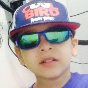 Meet your Posher, Rosemary