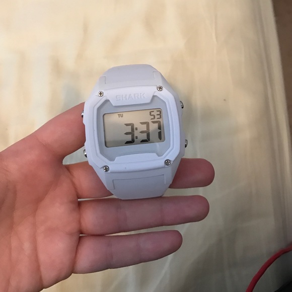 White shark watch