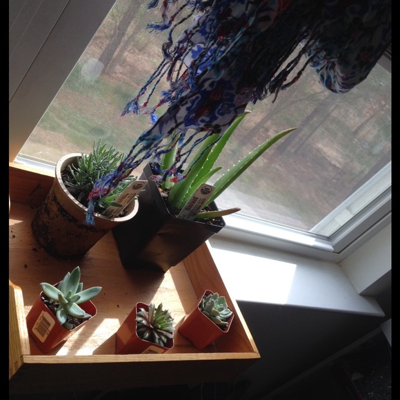 SOLD - Picture 3 of 3