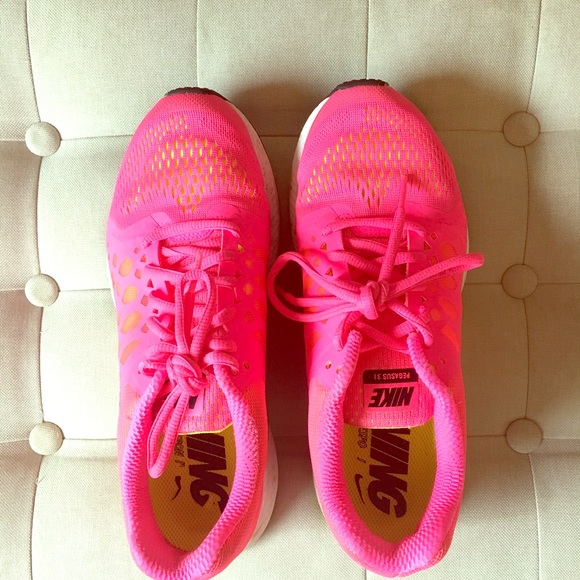 Nike Pegasus 3.1