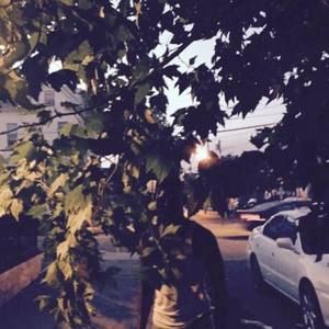 Meet your Posher, Maurice