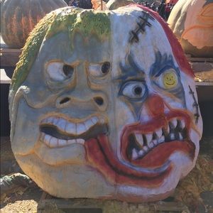 Meet your Posher, Lana