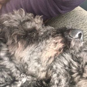 Meet your Posher, Kay