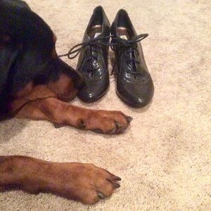 🔷SALE!!🔷Steve Madden patent leather oxfords
