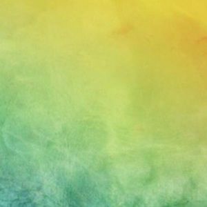 Meet your Posher, Ling