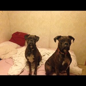 Meet your Posher, Monica