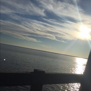 Meet your Posher, Gavin