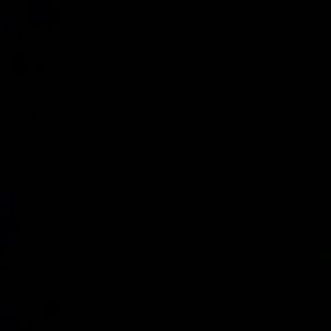 Meet your Posher, Shawnna