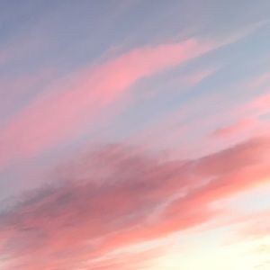 Meet your Posher, Lindsay