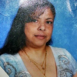 Meet your Posher, Leonides