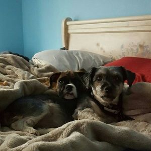 Meet your Posher, Dawn