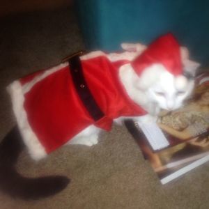 Meet your Posher, Kelli