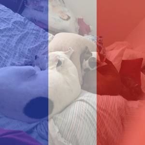 Meet your Posher, Harriet