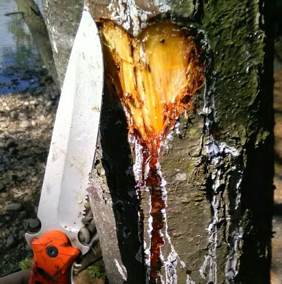 Meet your Posher, Erika - Picture 1 of 1