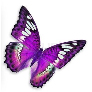 Meet your Posher, Athena