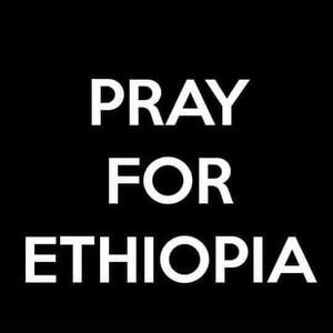 Meet your Posher, Mahelet