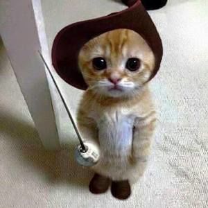 Meet your Posher, Beverley