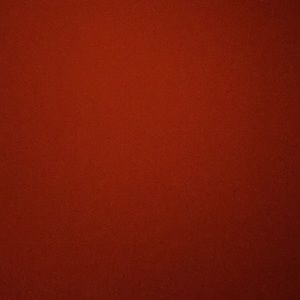 Meet your Posher, Shawn