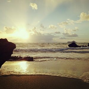 Meet your Posher, Hazel joy