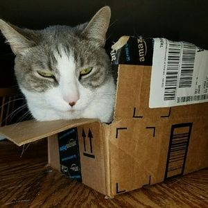 Meet your Posher, Julie