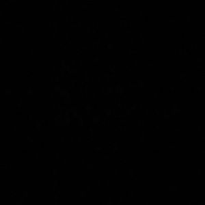 Meet your Posher, Jake