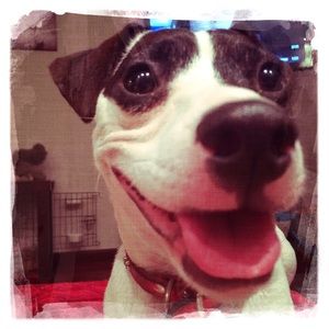 Meet your Posher, Lesli