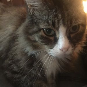 Meet your Posher, Crystal