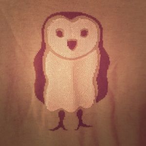 Sequin owl sweater
