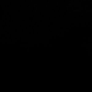 Meet your Posher, Gustavo