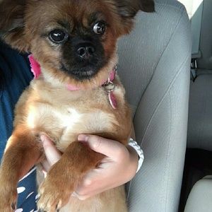 Meet your Posher, Kha