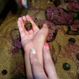 Meet your Posher, Christie