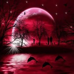 Meet your Posher, Donna