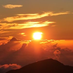 Meet your Posher, Nora